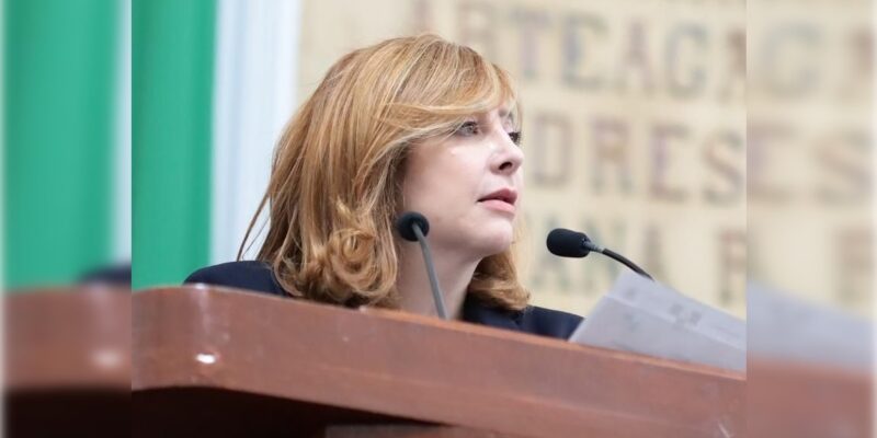 Mientras no haya nuevo reglamento, nos cuenta la diputada Gaby Salido, del PAN, se seguirá aplicando la Ley de Publicidad Exterior del Distrito Federal, que es bastante más blanda.