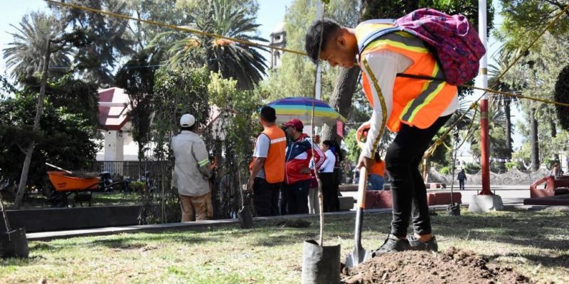 Las Jornadas Integrales de Cultura de Paz e Intervención de Espacios Públicos, impulsadas por la Consejería Jurídica y de Servicios Legales (CEJUR) de la Ciudad de México, son parte de la estrategia de convivencia pacífica y de una cultura de la paz para infractores.