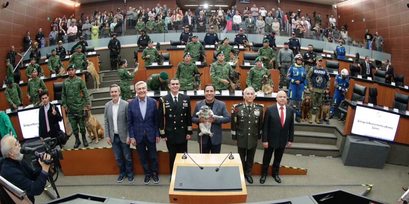 Plantea Eduardo Ramírez reforma para proteger a caninos del maltrato de los humanos