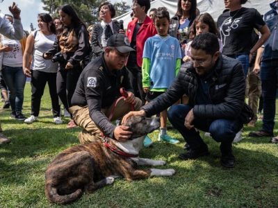 El jefe de Gobierno Martí Batres encabezó la presentación del proyecto “Ciudad de los Perros y de los Gatos”, que formará parte de la Brigada de Vigilancia Animal (BVA), perteneciente a la Secretaría de Seguridad Ciudadana (SSC), donde los animales abandonados podrán recuperarse física y emocionalmente para luego ser adoptados.