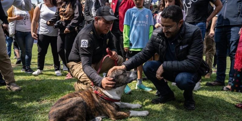 El jefe de Gobierno Martí Batres encabezó la presentación del proyecto “Ciudad de los Perros y de los Gatos”, que formará parte de la Brigada de Vigilancia Animal (BVA), perteneciente a la Secretaría de Seguridad Ciudadana (SSC), donde los animales abandonados podrán recuperarse física y emocionalmente para luego ser adoptados.