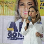 Tlalpan se convirtió en la tercera Alcaldía cuyo resultado electoral impugna la oposición, porque acusan que Morena pretendió “ganar a la mala”. FOTO: Especial