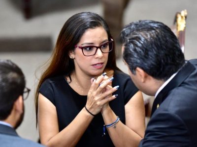 La diputada y vicecoordinadora del PAN en el Congreso de la Ciudad de México, Luisa Gutiérrez Ureña denunció la proliferación de clínicas clandestinas en CDMX, y urgió identificarlas para poderlas clausurar, ya que ponen en riesgo la salud de los capitalinos. FOTO: Especial