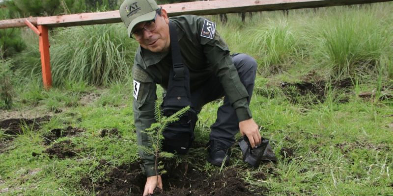 Tlalpan arranca jornada de reforestación 2024