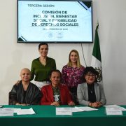 Avanza armonización constitucional de Leyes para derechos sociales