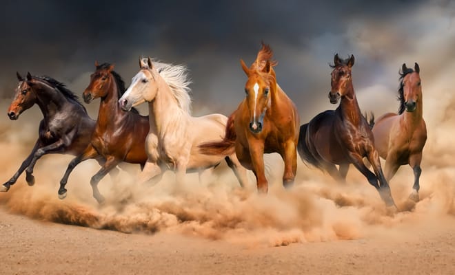 Alondra vivía en el último pueblo antes del bosque sin nombre, un rincón del mundo que muchos evitaban y del cual sólo se hablaba en susurros. Tenía doce años, una mirada que parecía contener preguntas sin respuesta, y un colgante antiguo que su abuela le había dejado antes de desaparecer misteriosamente una década atrás. FOTOS: iStockphoto