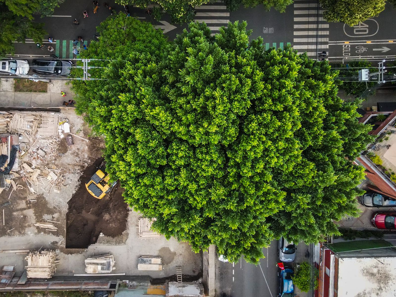 "El legítimo movimiento #SalvemosALaureano desconoce cualquier declaración del grupo liderado por la diputada federal Laura Ballesteros, de Movimiento Ciudadano. No nos representa ni representa las demandas de este movimiento original y legítimo, sin partidos políticos dentro", dicen.