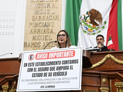 Impulsa PT reforma contra ‘estacionamientos mafiosos’, Jannette Guerrero, diputada PT. FOTO: Especial