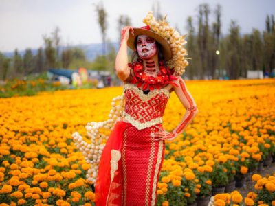 CDMX celebrará el Día de Muertos con 500 actividades