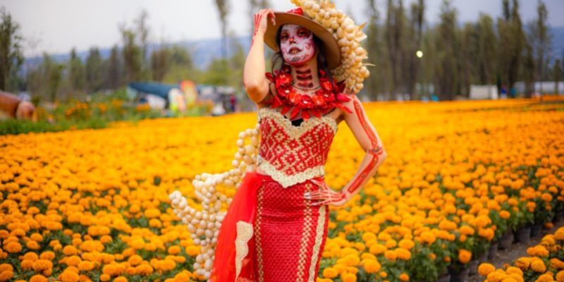 CDMX celebrará el Día de Muertos con 500 actividades