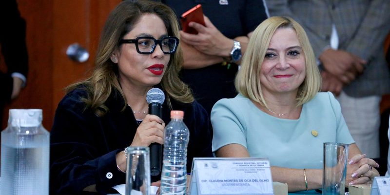 Fortalecer las instituciones encargadas del acceso a la justicia, combatir la corrupción y garantizar la certeza jurídica en la CDMX, fue el llamado del Grupo Parlamentario de Acción Nacional durante la comparecencia de Eréndira Cruzvillegas Fuentes, titular de la Consejería Jurídica y de Servicios Legales de la Ciudad de México. FOTO: Especial
