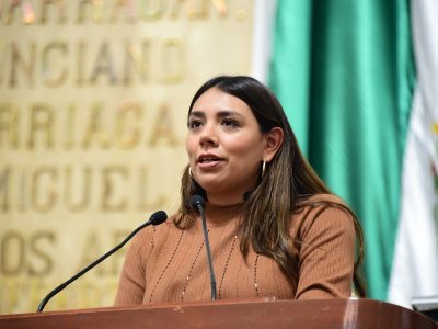 El pleno del Congreso capitalino solicitó a la Secretaría de Seguridad Ciudadana y la Subsecretaría de Programas de Alcaldías y Reordenamiento de la Vía Pública del gobierno de la Ciudad de México, en colaboración con la alcaldía Xochimilco, realizar operativos de verificación y clausura de establecimientos clandestinos en la vía pública dedicados a la venta y consumo de bebidas alcohólicas en el pueblo de San Gregorio Atlapulco. FOTO: Especial