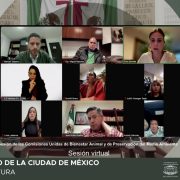 Se prevé el desarrollo de cinco foros: uno de carácter general, destinado a escuchar las diversas posturas sobre la materia, y cuatro foros temáticos orientados a la construcción de propuestas para una regulación integral.