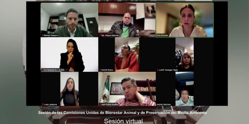 Se prevé el desarrollo de cinco foros: uno de carácter general, destinado a escuchar las diversas posturas sobre la materia, y cuatro foros temáticos orientados a la construcción de propuestas para una regulación integral.