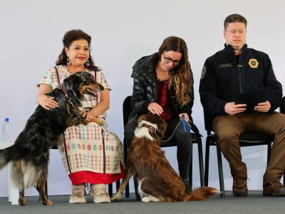 Bien que se busque evitar otros casos de maltrato animal, como el del Refugio Franciscano, pero sobre ello aquí una buena y una mala. FOTO: Especial