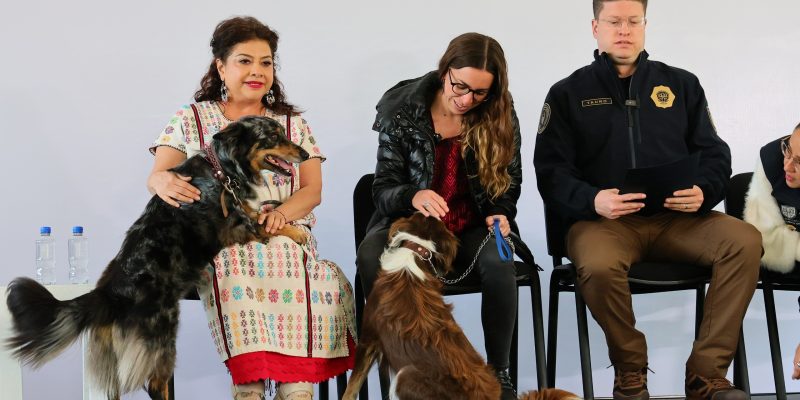 Bien que se busque evitar otros casos de maltrato animal, como el del Refugio Franciscano, pero sobre ello aquí una buena y una mala. FOTO: Especial