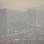 Quien sale de la CDMX tres o cuatro días, tiempo en que el cuerpo más o menos se limpia de los contaminantes, se percata de una triste realidad: al volver, apenas se abren las puertas del avión, se percibe la peste del smog, ese olor a gasolina y diésel quemado, a humo de coche de vieja tecnología de combustión. Provoca nausea y dolor de cabeza. FOTO: Cuartoscuro