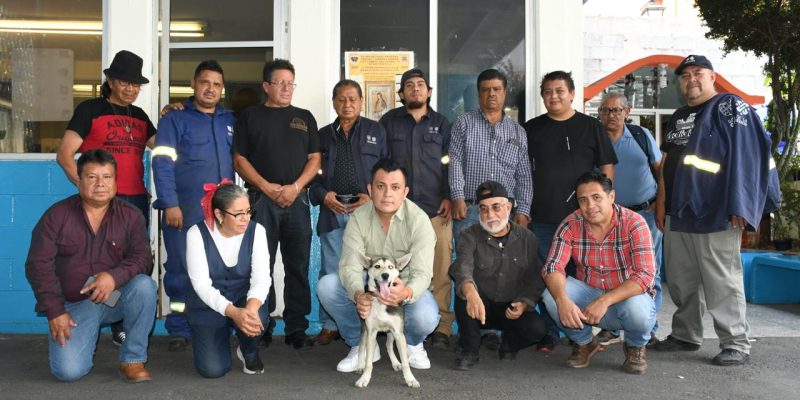 En Benito Juárez se impulsa una cultura que reconoce a los animales de compañía como seres sintientes, con derecho a una vida digna y segura.