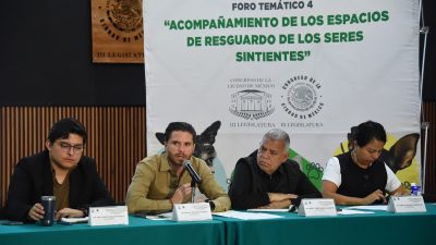 En el Congreso de la Ciudad de México se llevó a cabo el cuarto foro temático sobre la protección de los seres sintientes, de un total de cinco, cuyas opiniones y propuestas de los participantes contribuirán a la elaboración de la Ley de Albergues y Refugios de Animales capitalina.